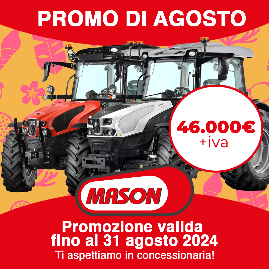 Promo Agosto